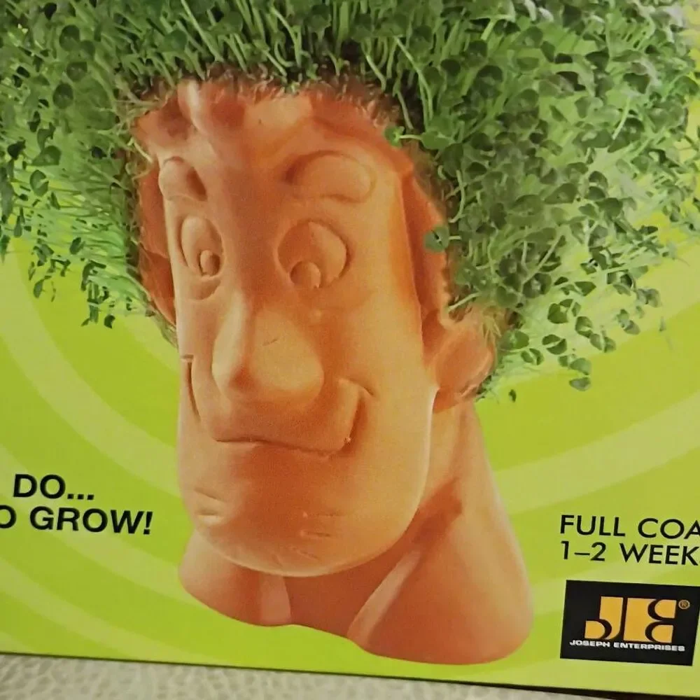 NWT Cartoon Network Scooby Doo Chia Shaggy